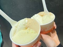 -Dip in Gelato(富民路店)