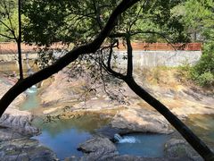 -广州白江湖森林公园