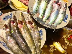 -石锅苗苗鱼(武汉首店)