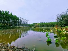 -东郊湿地公园