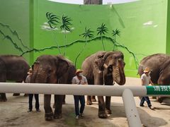 -大连森林动物园