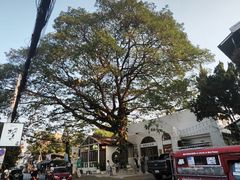 -Cheevit Cheeva(Sirimangkalajarn)