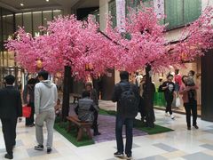-鹏欣水游城