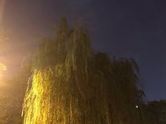 -四川大学(望江校区)