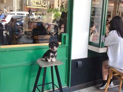 门面-RAC BAR(安福路店)