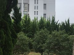 -南京理工大学紫金学院