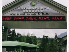 -中国大熊猫保护研究中心雅安碧峰峡基地