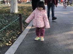 -苏堤停车场