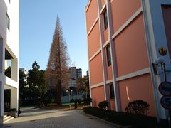 -上海市控江中学