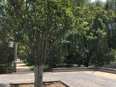 -元大都城垣遗址公园