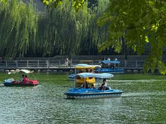 -莲湖公园