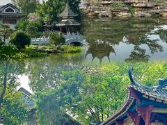 -顺峰山公园