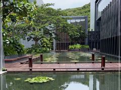 -三亚太阳湾柏悦酒店