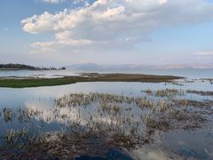 -洱海月湿地公园