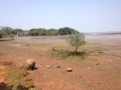 -东寨港红树林旅游区