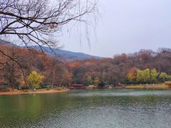 -紫霞湖公园