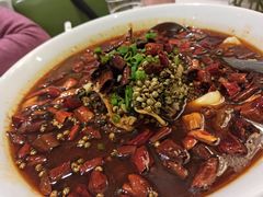 -大鸭梨烤鸭(左家庄店)
