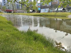 -西安电子科技大学-海棠餐厅