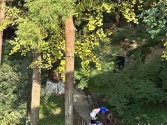 -莫干山风景区