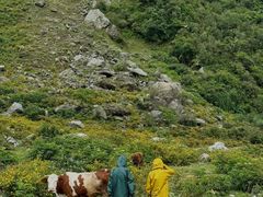 -藏龙百瀑风景区