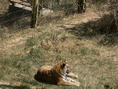 -青藏高原野生动物园