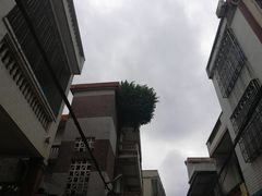 -文昌铺前老街