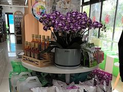 -中国农业大学动物医院