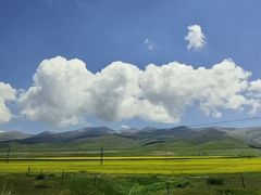 -泰安东尊华美达广场酒店(泰山景区店)
