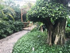 -北京植物园-展览温室