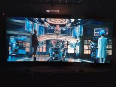 -奥斯卡升龙国际影城(RealD Cinema)