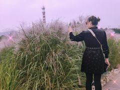 -羊亭河湿地公园