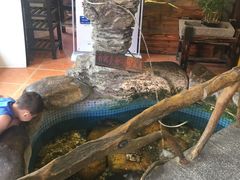 -御膳粥·牛乳粥底火锅·地道顺德菜(容桂店)