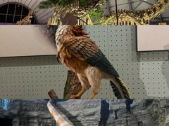 -辽宁古生物博物馆