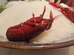 -阿毛饭店·宁波老字号(儿童公园旗舰店)