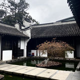 一尺花园奇幻漫游记