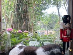 -海边的猫和咖啡馆