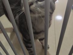-猫爪屋猫咖(乐汇城店)