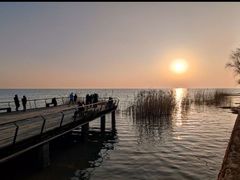 -西京湾花海