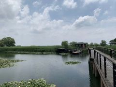 -太湖湖滨国家湿地公园-停车场