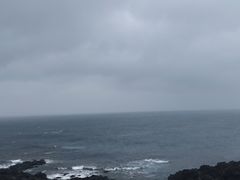 -涉地可支