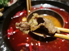 -蜀辣居鲜货老火锅(双流万达店)