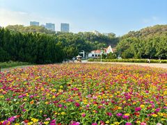 -南沙蒲洲花园