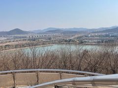 -羊山湖公园