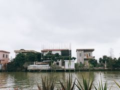-大湾区中央湿地公园-十九涌
