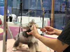 -FAELING PETS美天灵宠物(富力广场店)