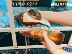 -金龙·打边炉(南京西路店)