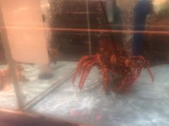 -阿伟海鲜楼·福建菜(延寿店)