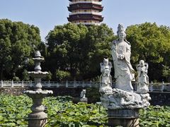 -妙乐寺