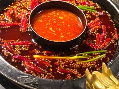 -蜀大侠火锅(建设路第五大道店)