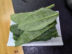 -新乡杨记红焖羊肉火锅(天坛南门店)